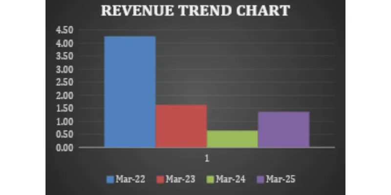 Financial Statement Analysis